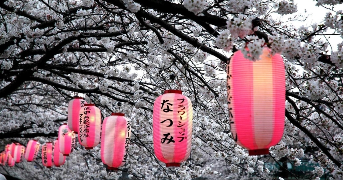 7 secrets sur le Sakura - entre légendes, philosophie, poésie et tradition japonaise - Hanami Festival