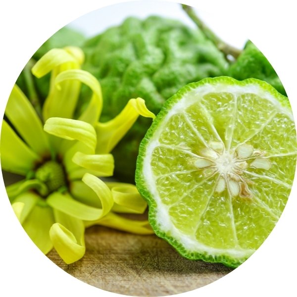 Bergamote, l'odeur relaxante des agrumes de Calabre.