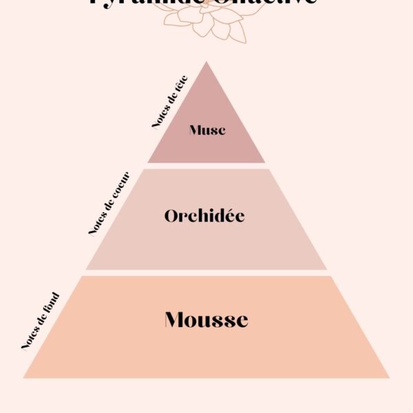 Pyramide Olfactives Musc Blanc