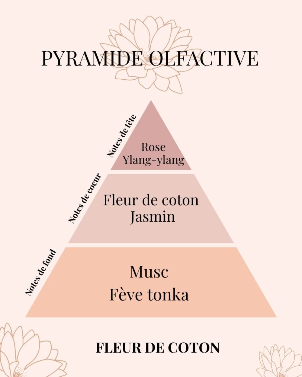 Pyramide Olfactive Fleur de Coton - parfum d'intérieur - Niõ par N'importe où