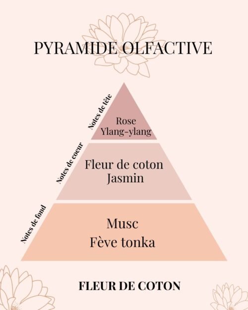 Pyramide Olfactive Fleur de Coton - parfum d'intérieur - Niõ par N'importe où