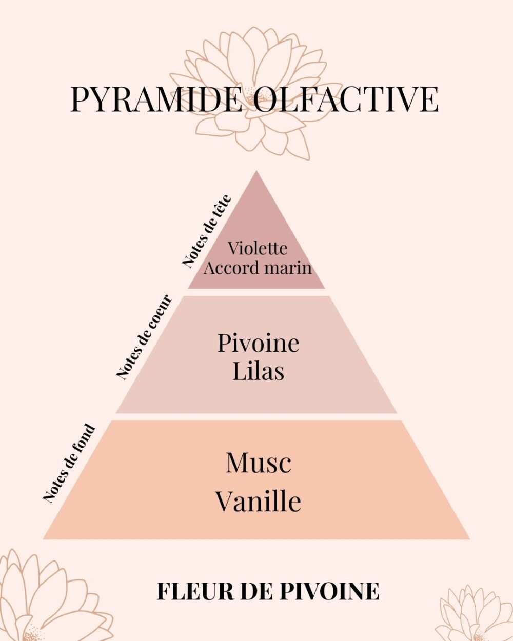 Pyramide Olfactive Fleur de Pivoine - Parfums d'intérieur - Niõ par N'importe où
