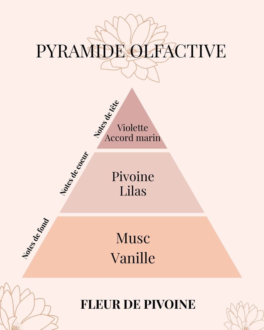 Pyramide Olfactive Fleur de Pivoine - Parfums d'intérieur - Niõ par N'importe où Pyramide Olfactive Fleur de Pivoine - Parfums d'intérieur - Niõ par N'importe où