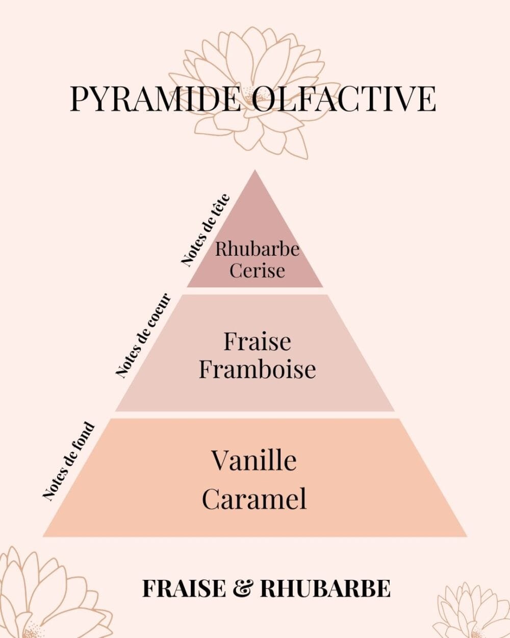 Pyramide Olfactive Fraise et Rhubarbe - Parfums d'intérieur - Niõ par N'importe où