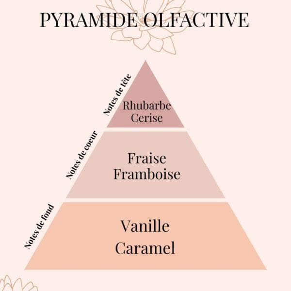 Pyramide Olfactive Fraise et Rhubarbe - Parfums d'intérieur - Niõ par N'importe où