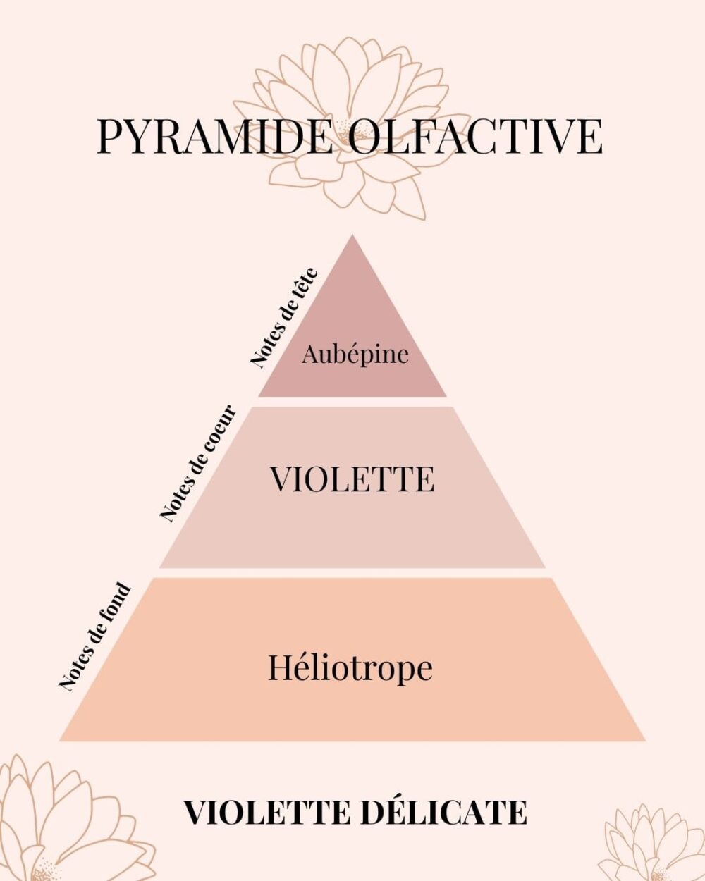 Pyramide Olfactive Violette délicate - parfums d'intérieur - Niõ Pyramide Olfactive Violette délicate - parfums d'intérieur - Niõ