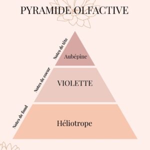 Pyramide Olfactive Violette délicate - parfums d'intérieur - Niõ Pyramide Olfactive Violette délicate - parfums d'intérieur - Niõ