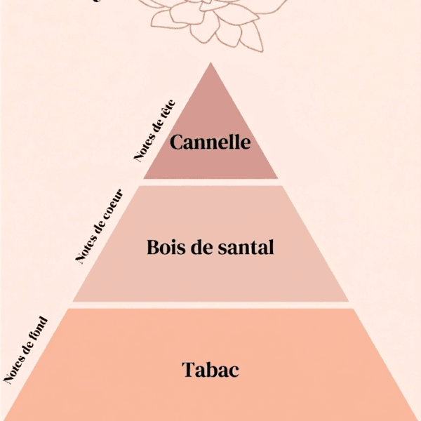 Pyramide olfactive Bougie parfumé 37 boulevard saint germain tabac & Bois santal