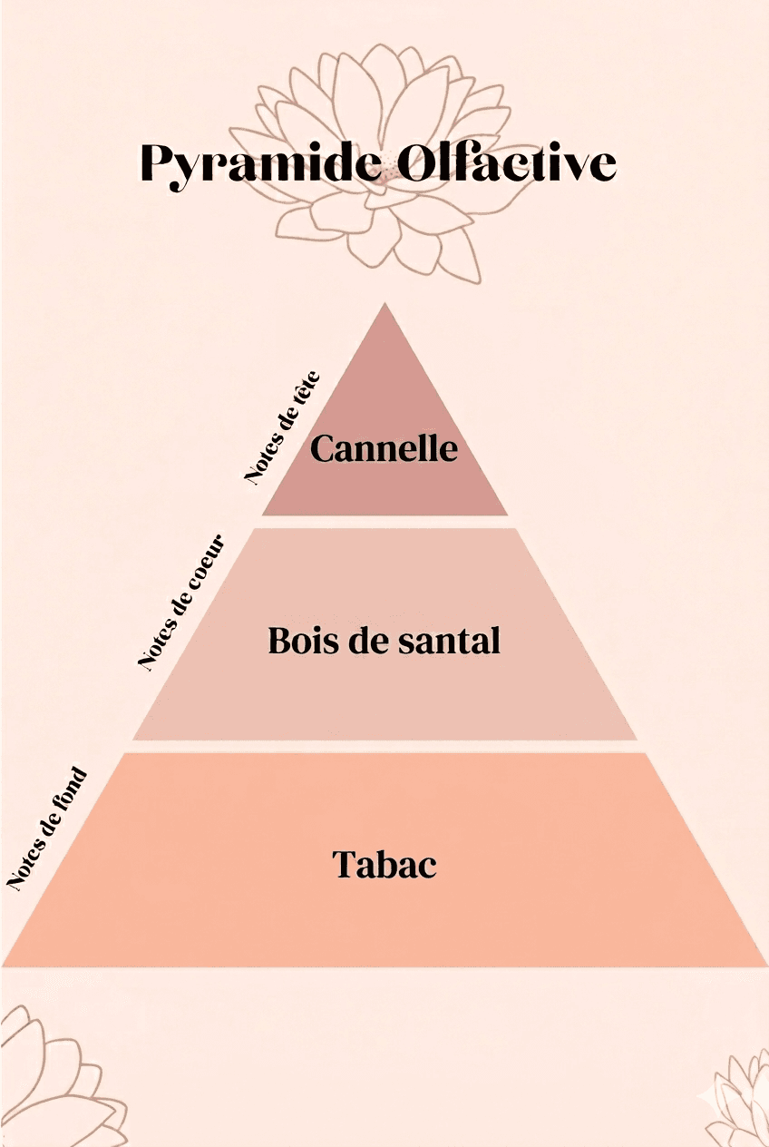Pyramide olfactive Bougie parfumé 37 boulevard saint germain tabac & Bois santal