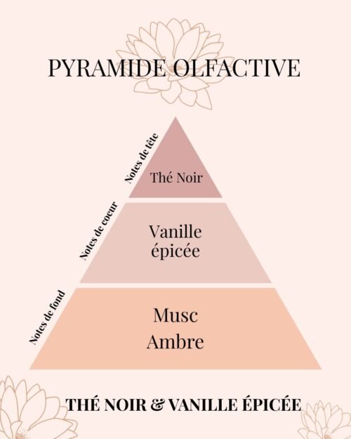 Pyramide olfactive Thé Noir et Vanille épicée - parfums d'intérieur - Niõ par N'importe où