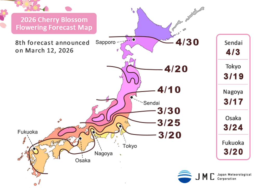 Fête des cerisiers japonais, prévision de fleuraison des cerisiers au Japon, Hanami 2026