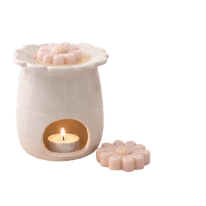 fondants Daisy Blossom à associer avec le brûle parfum Daisy