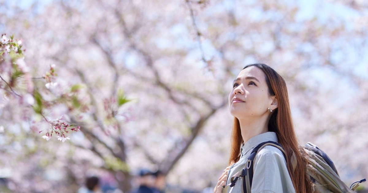 Une jeune japonaise en train de contempler un arbre de Sakura en floraison - hanami fete du sakura tradition japonaise - guide pratique de hanami en France