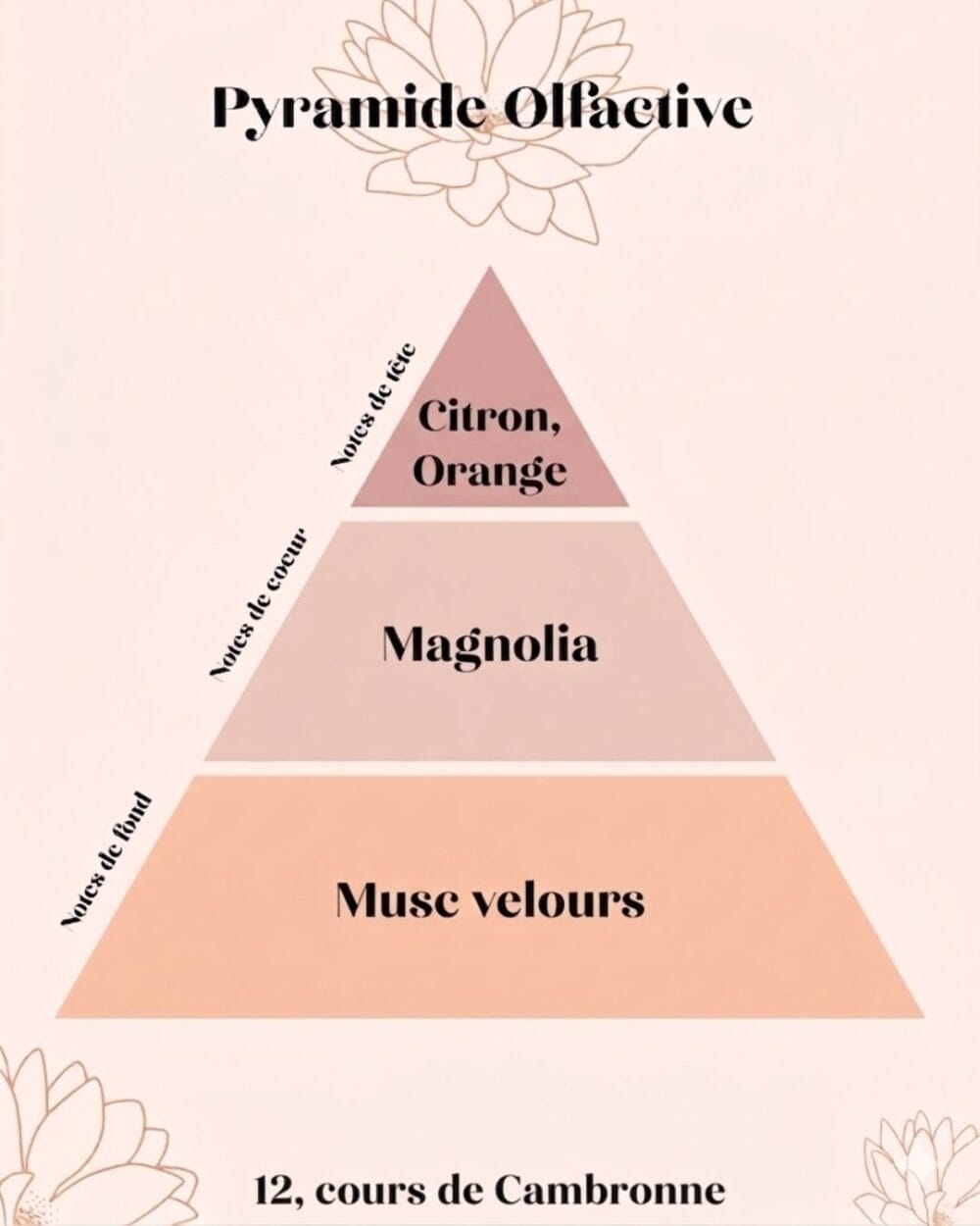 Bougie parfumée Magnolia & Musc de Soie – 12, Cours de Cambronne