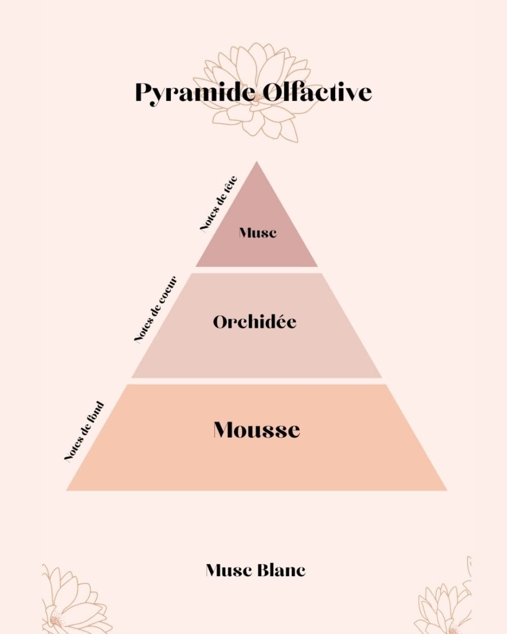 pyramide olfactive Musc Blanc parfum d'intérieur - Niõ par N'importe où
