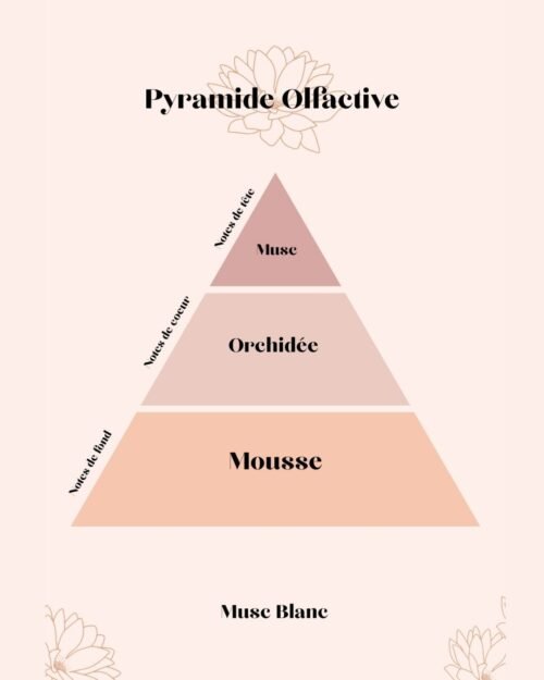 pyramide olfactive Musc Blanc parfum d'intérieur - Niõ par N'importe où