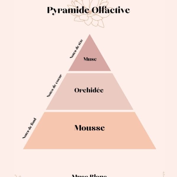 pyramide olfactive Musc Blanc parfum d'intérieur - Niõ par N'importe où