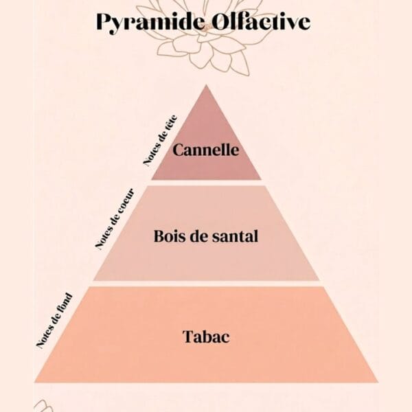 pyramide olfactive - bougie n37 bvd Saint Germain - tabac et bois de santal Bougie Parfumée 37 Boulevard Saint-Germain : Tabac & Bois de Santal