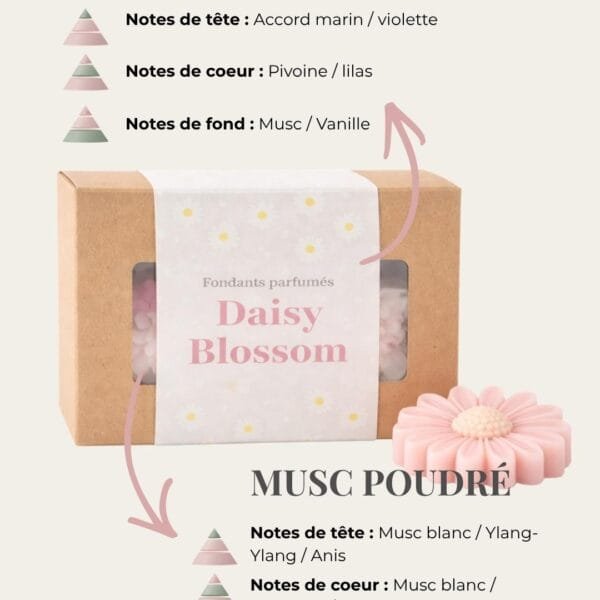 Fondants parfumés Daisy Blossom – Duo floral