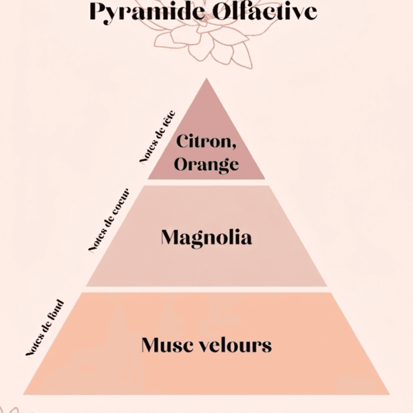 pyramide olfactive cour de Cambronne magnolia & musc de soie