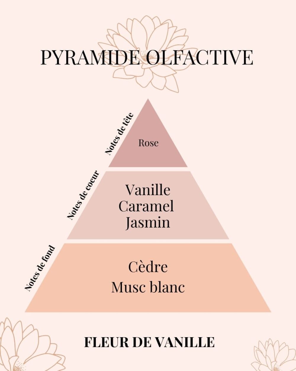 Pyramide Olfactive Fleur de Vanille - parfums d'intérieur - Niõ