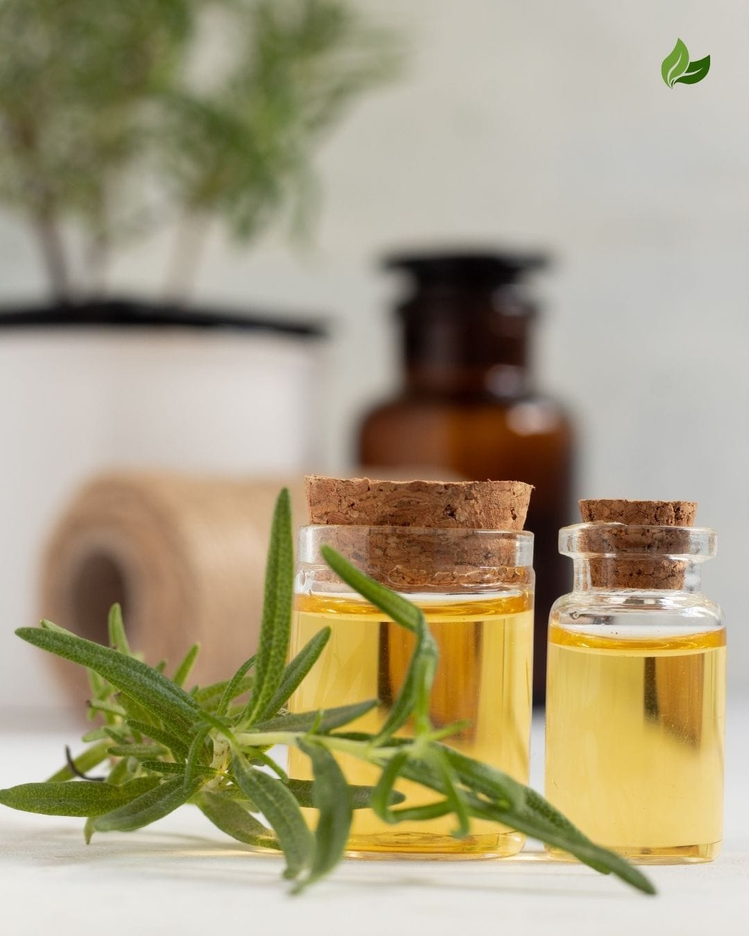 fragrances de qualité - Niô par N'importe où