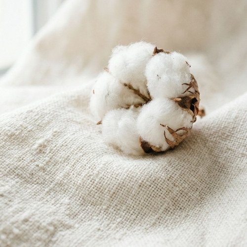 mèches en coton non traité qualité premium - Niõ par N'importe où