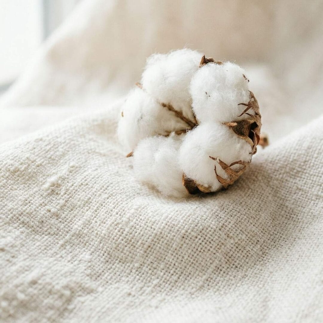 Cadeau pour la Fête des Mères en 2026 : Guide des plus beaux cadeaux parfumés pour toutes les mamans 2 La Chambre Blanche