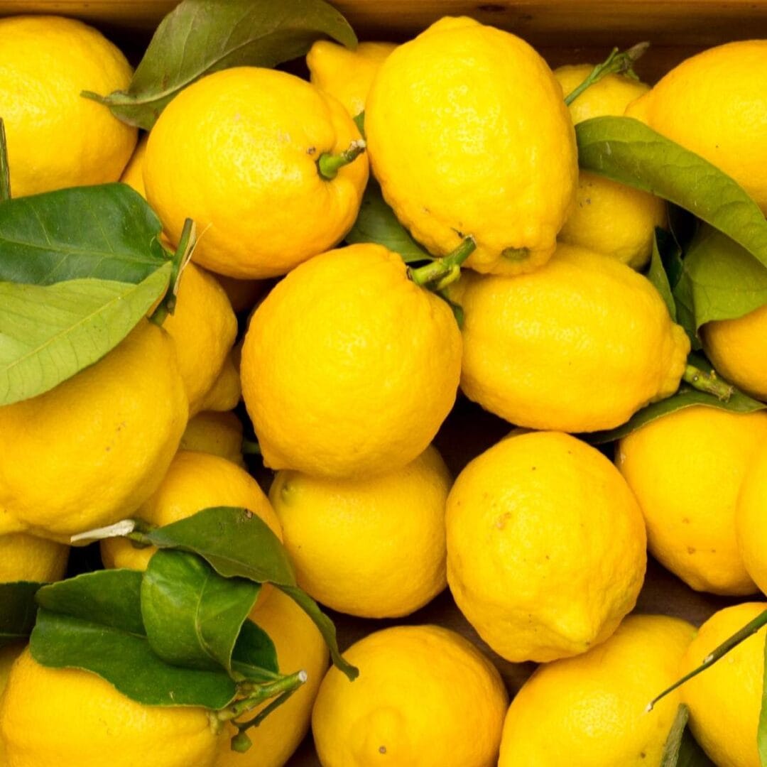 citron note d'été 2026 - Niõ citron comme notes d'été 2026 - collection Dolce Vita - Niõ